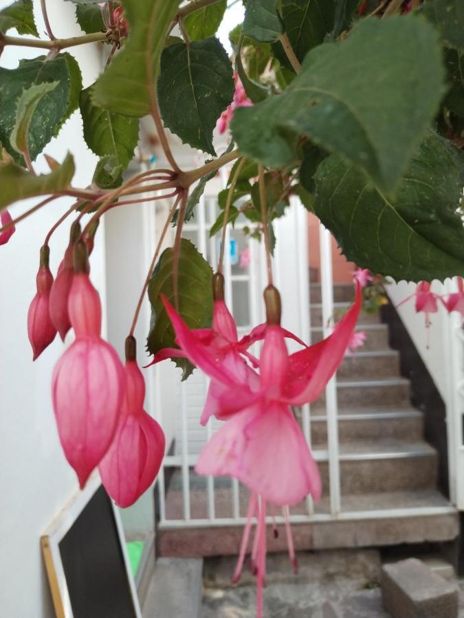 Cusco Vista Guest House Exterior foto